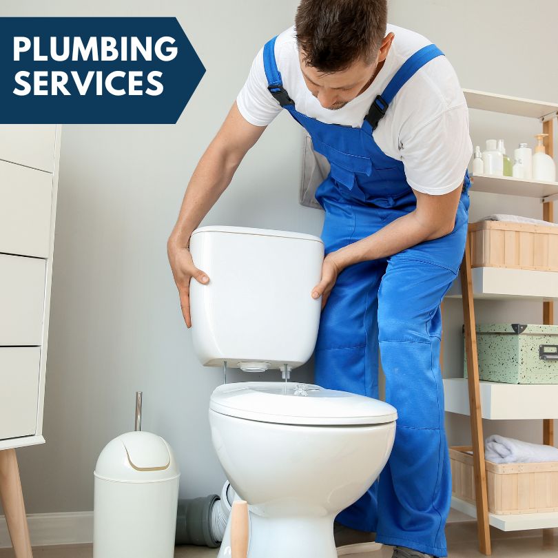 Plumbing Company in Bellmont, IL